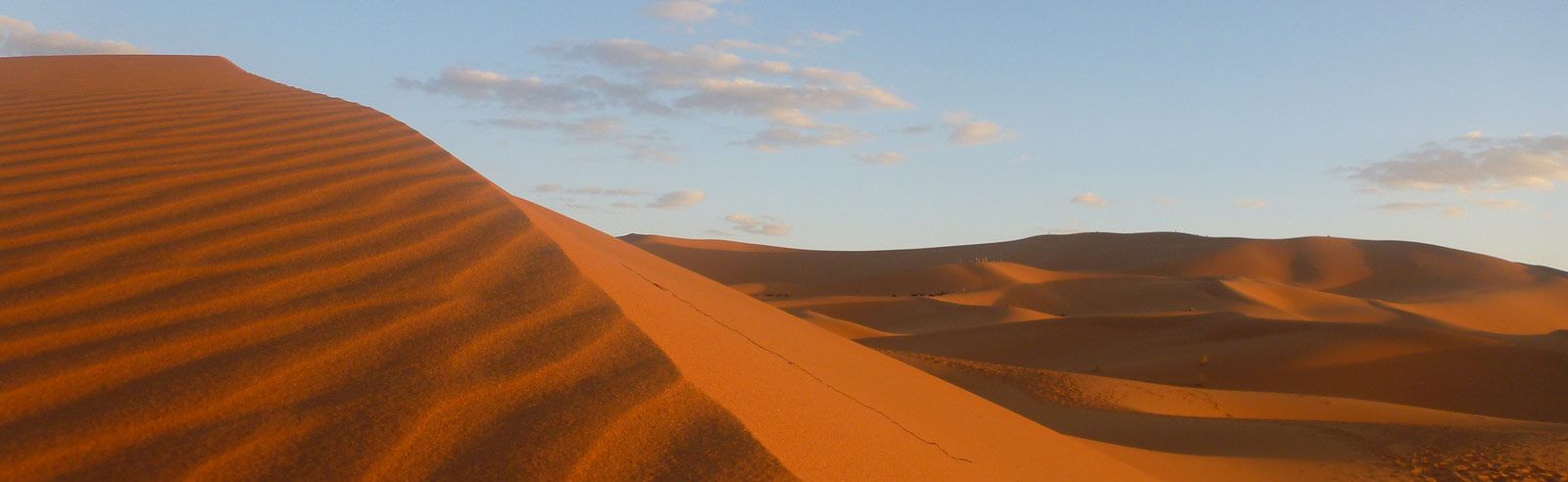 Termites ‘Engineer Fairy Circles’