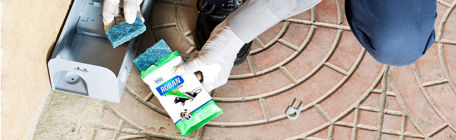 Roban | The Rat Killer