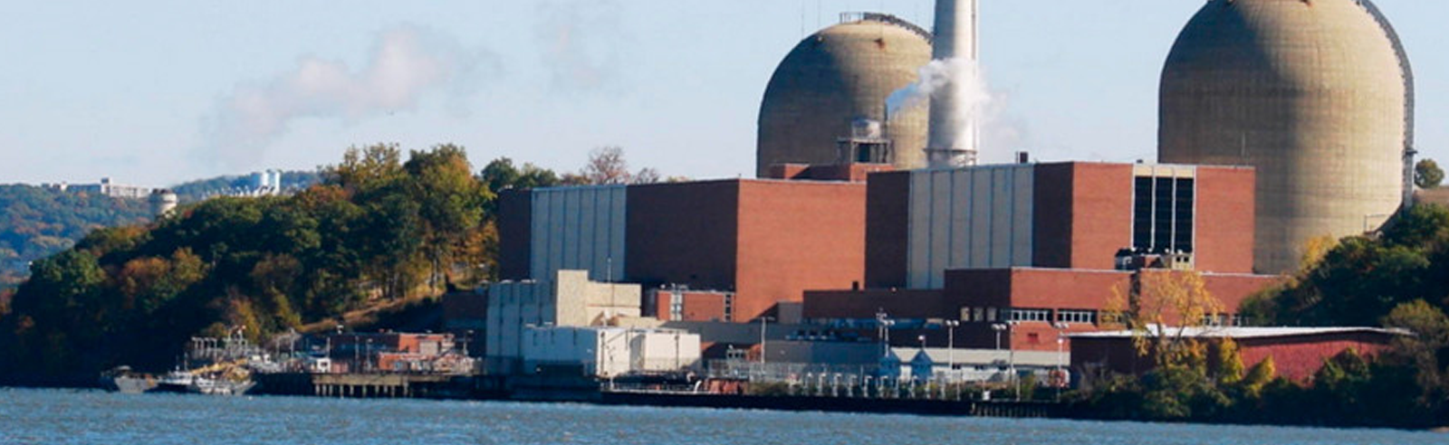 Bird poop blamed for nuclear reactor shutdown