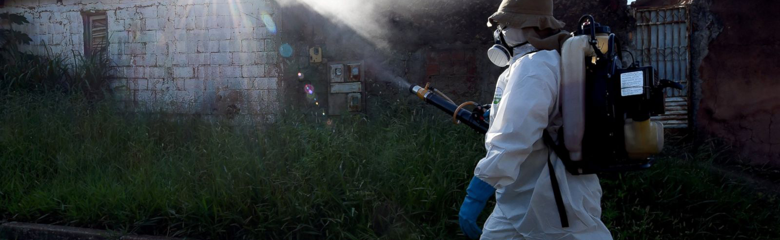 Google Takes Zika Virus With Mapping Project