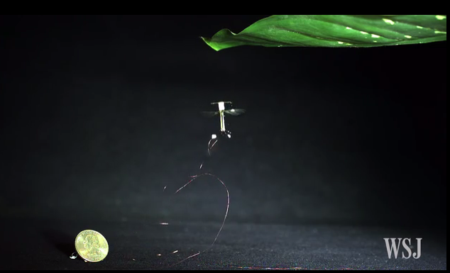 Robots that Perch and move like Insects
