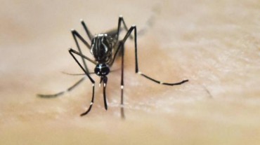 Beware of repeated dengue afflictions
